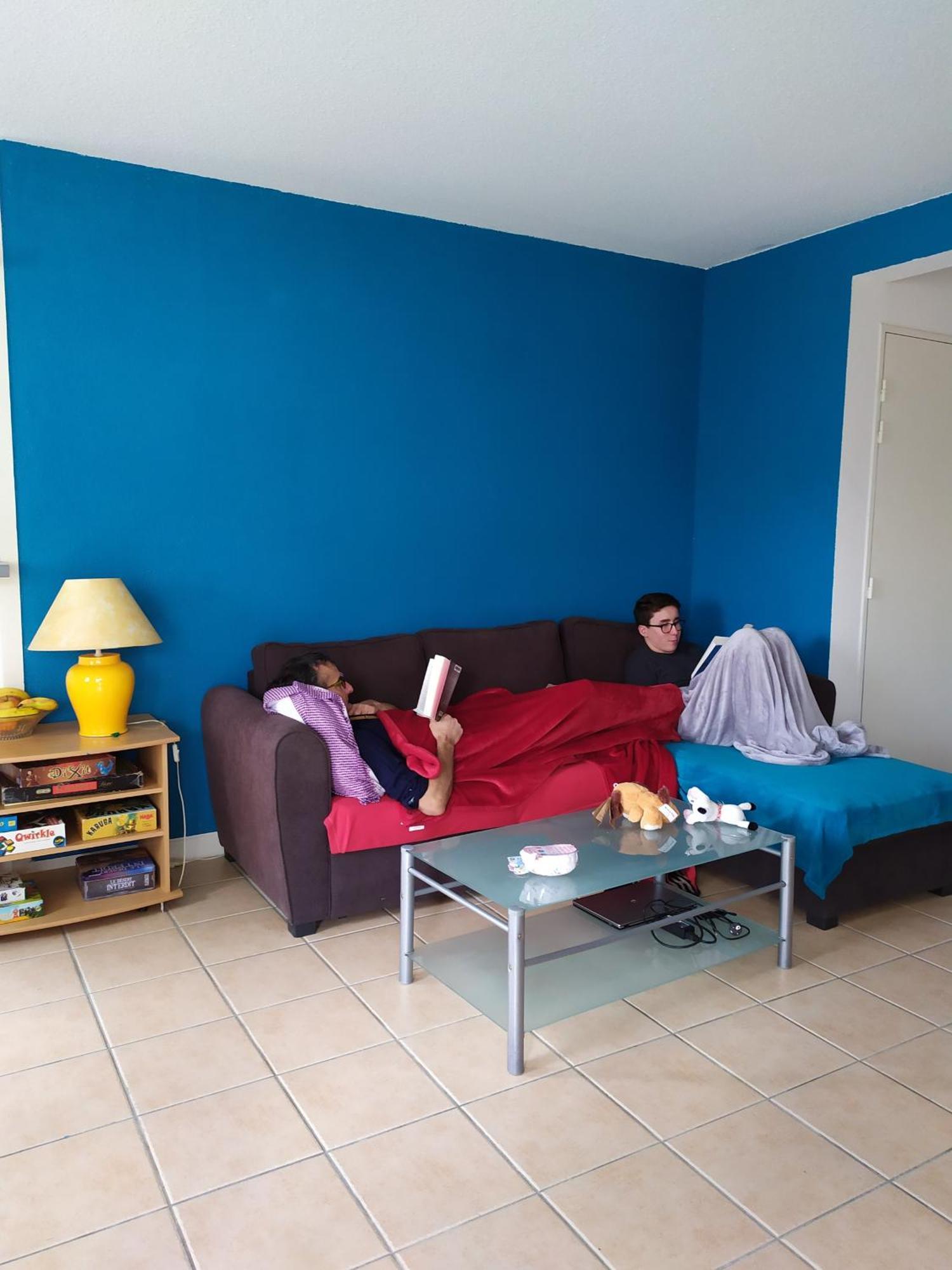 Carcassonne T3 Residentiel Rez De Jardin Piscine, Wifi, Tennis, Fitness Apartment Ngoại thất bức ảnh